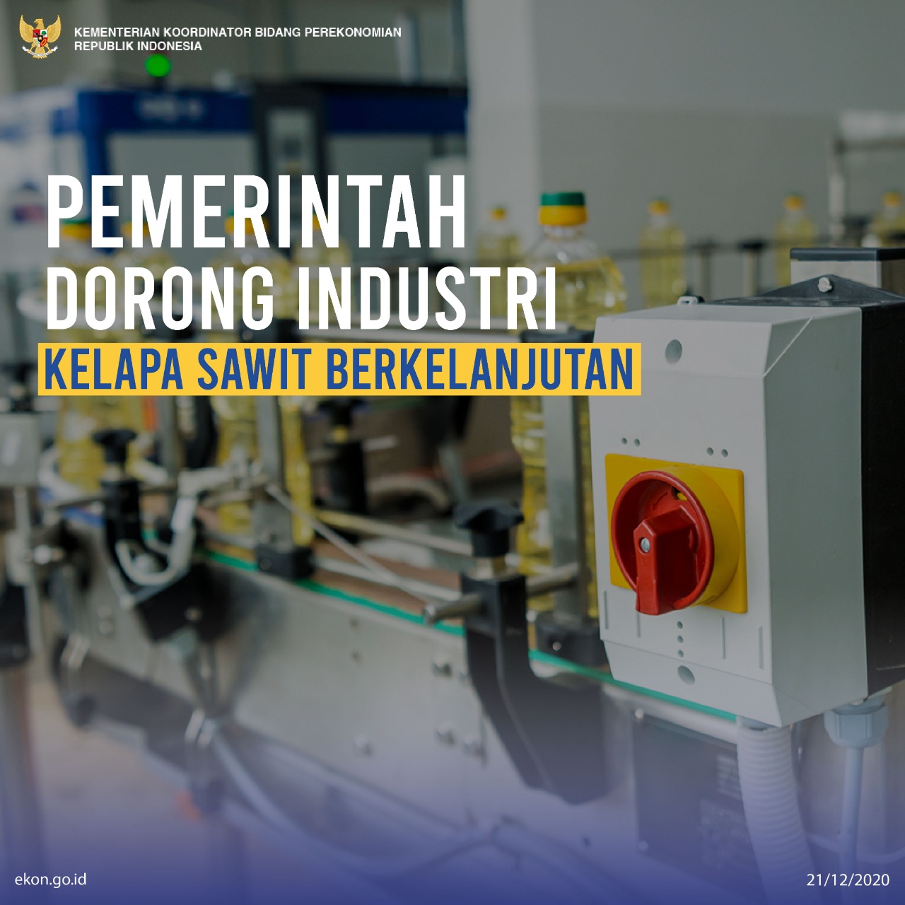 Pemerintah Dorong Industri Kelapa Sawit Berkelanjutan, Korindo Sambut ...