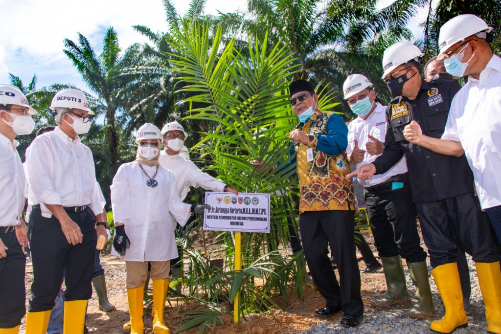 Program Peremajaan Sawit Rakyat Mendorong Penyerapan Tenaga Kerja Dan ...