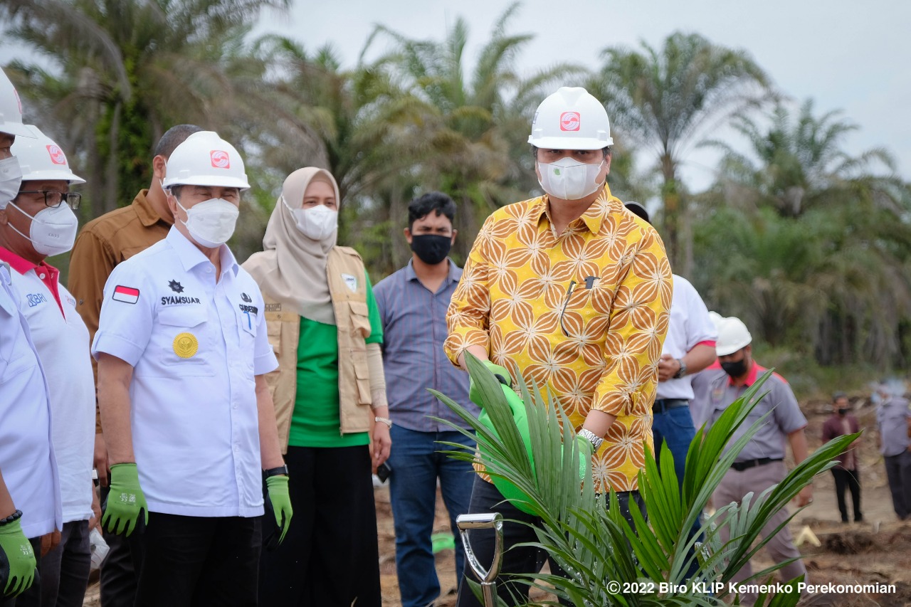 Pemerintah Akselerasi Implementasi Program Peremajaan Sawit Rakyat ...