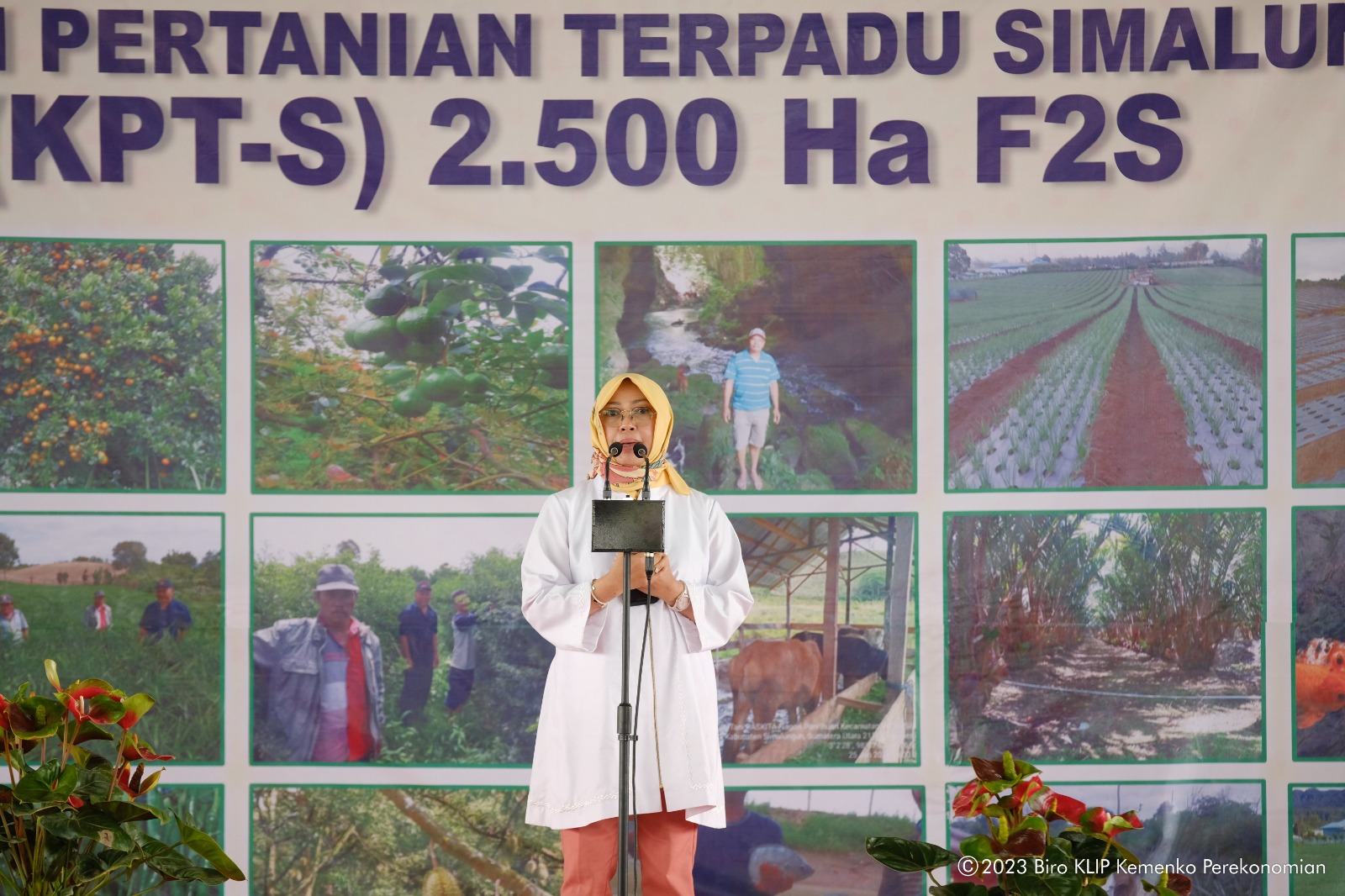 Tingkatkan Kesejahteraan Petani Dan Daya Saing Komoditas Pertanian ...